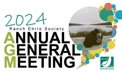 Virtual 2024 AGM 