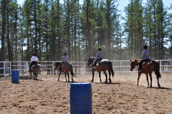 Horse program adds to Buckland campus